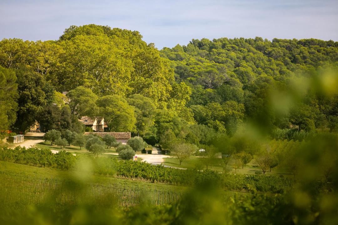 Photo of Others in Saint-Antonin-du-Var