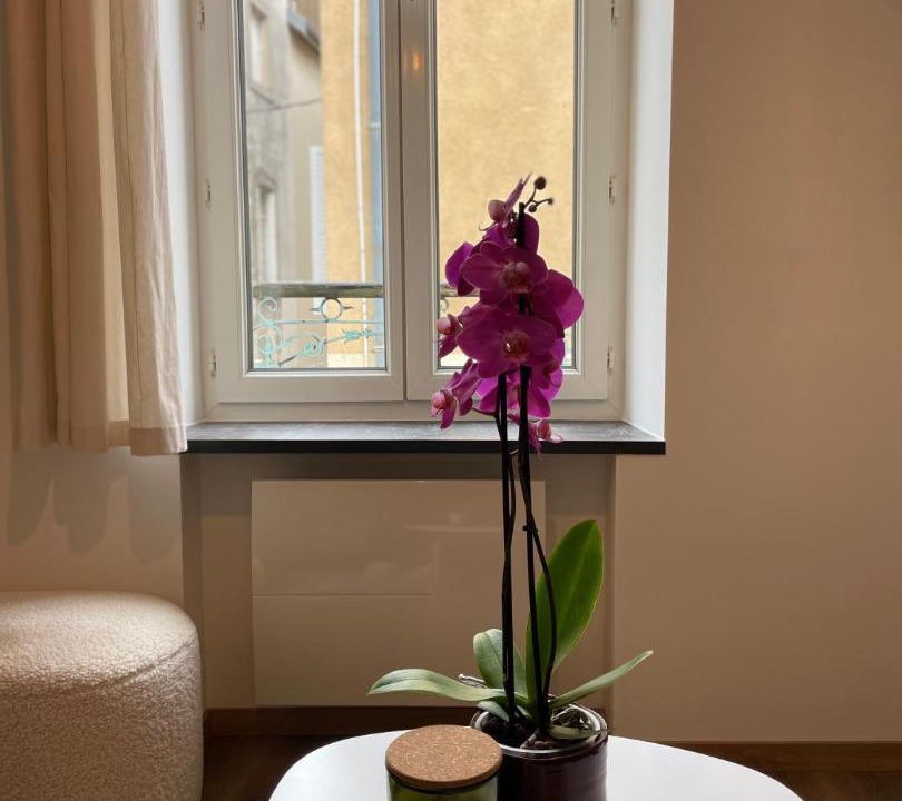 Photo of Others in Lons-le-Saunier