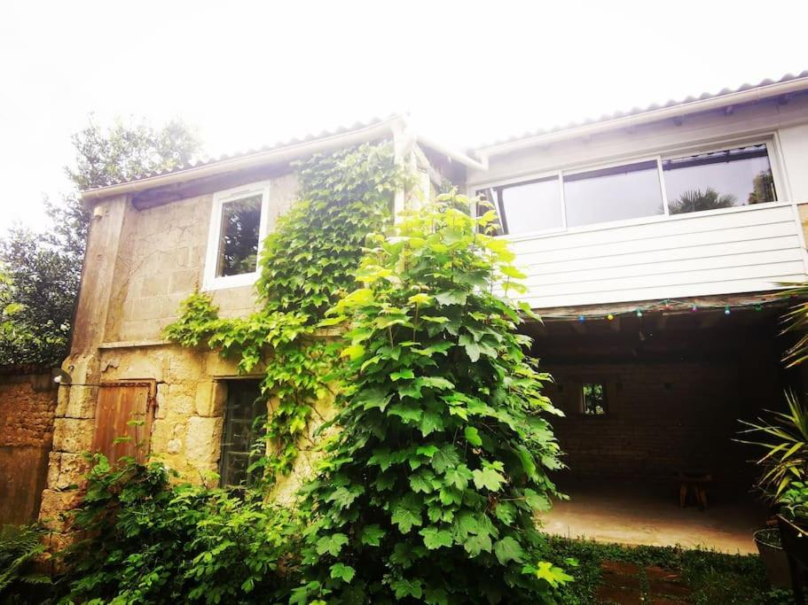 Photo of Others in Cherveux