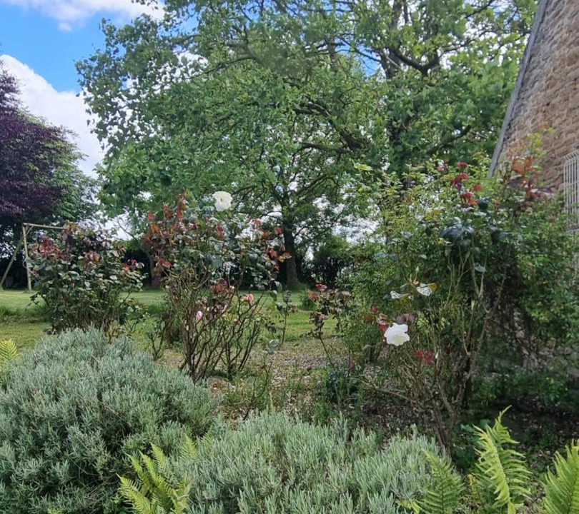 Photo of Others in Plounevez-Lochrist