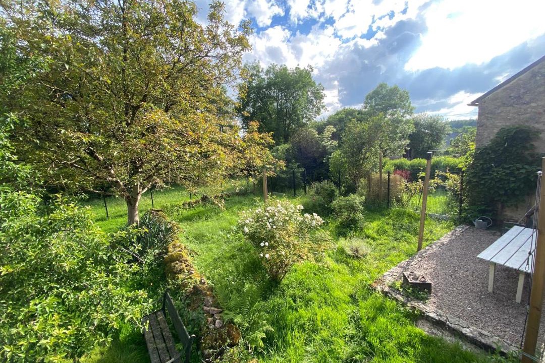 Photo of Others in Brassy