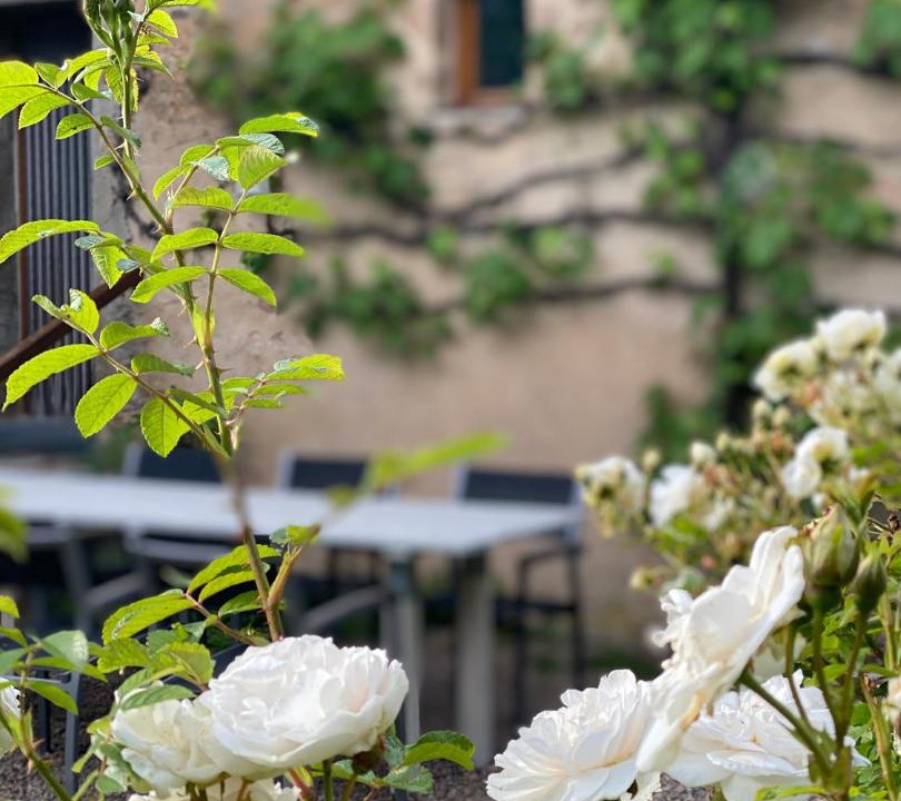 Photo of Others in Brassy