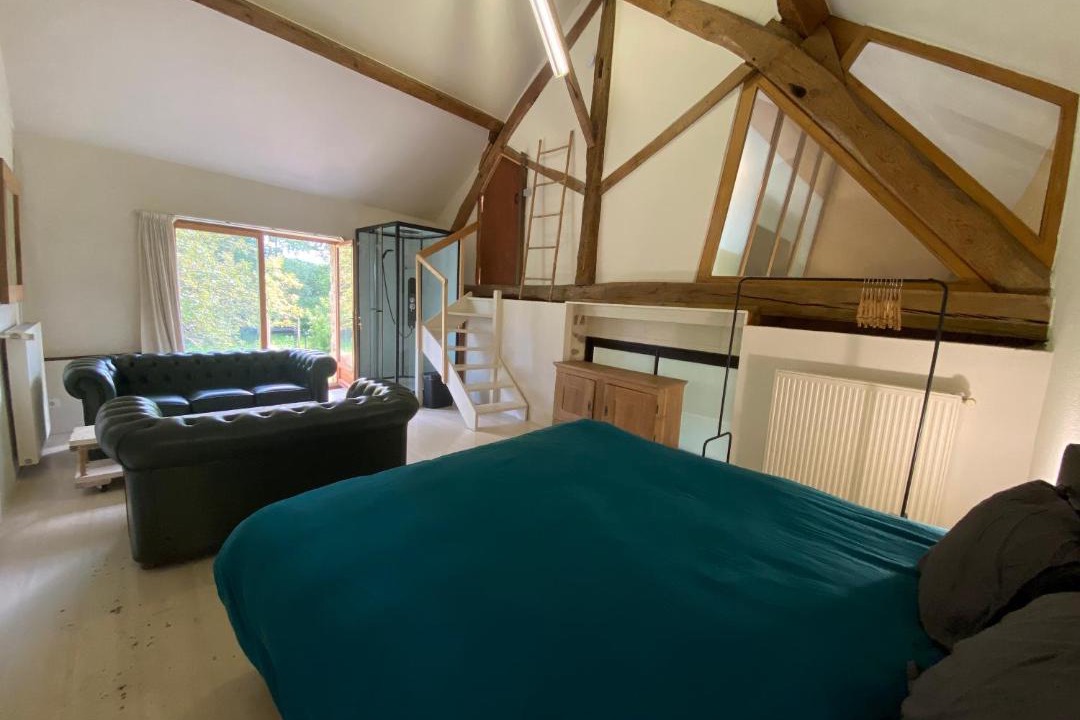 Photo of Others in Brassy