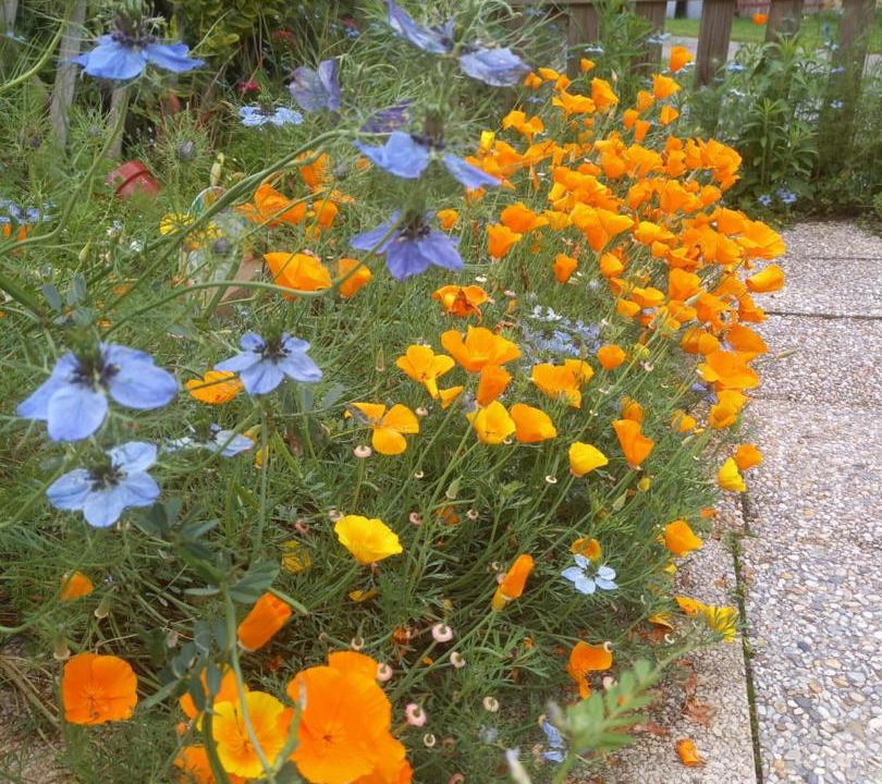 Photo of Others in Sainte-Therence