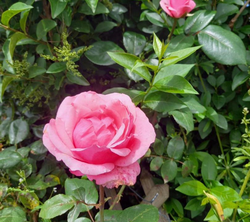 Photo of Others in Sainte-Therence