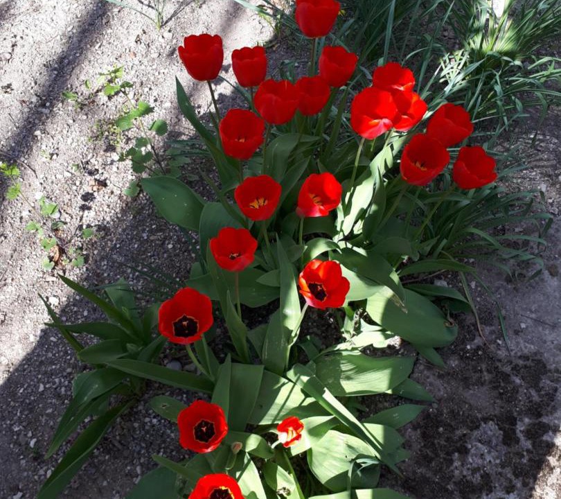 Photo of Others in Orpierre