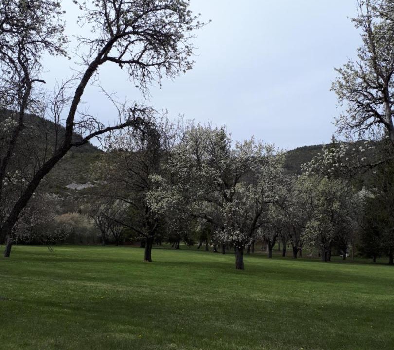 Photo of Others in Orpierre