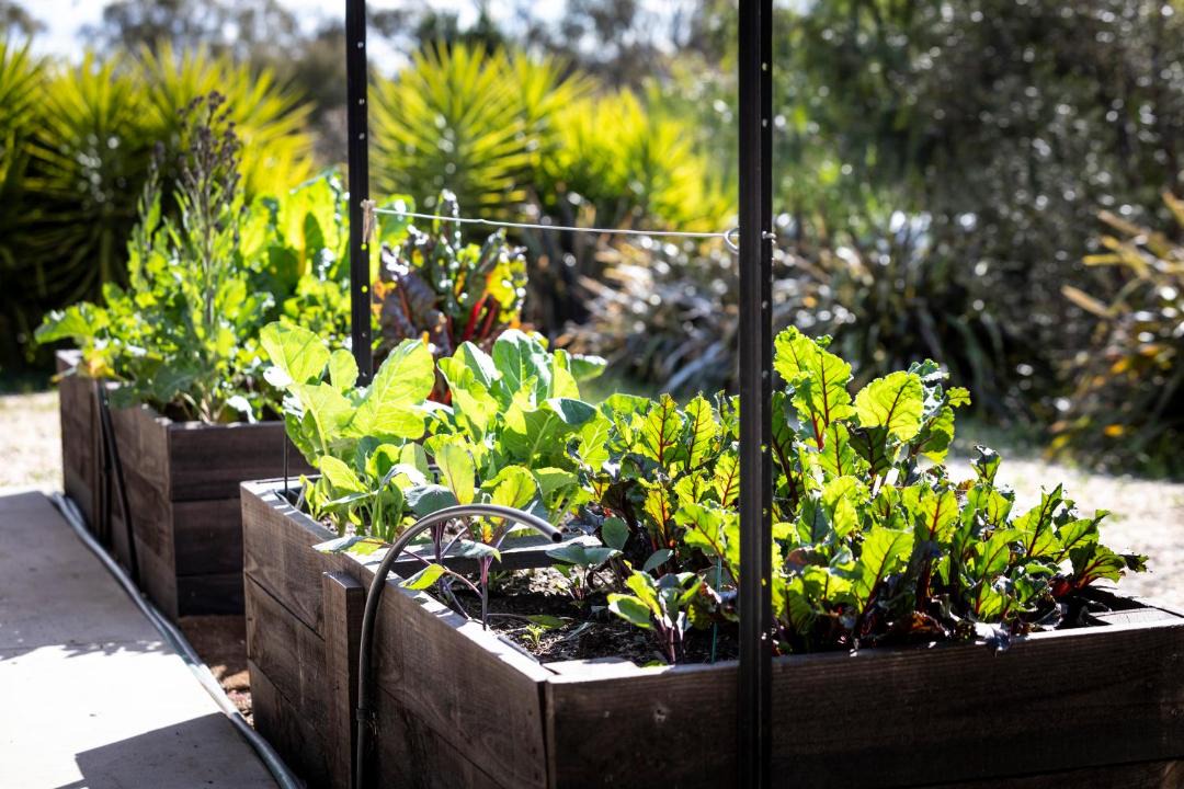 Photo of Others in Mia Mia