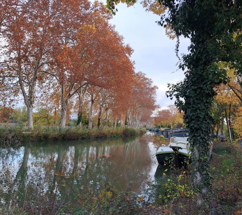 Photo of Others in Ramonville-Saint-Agne