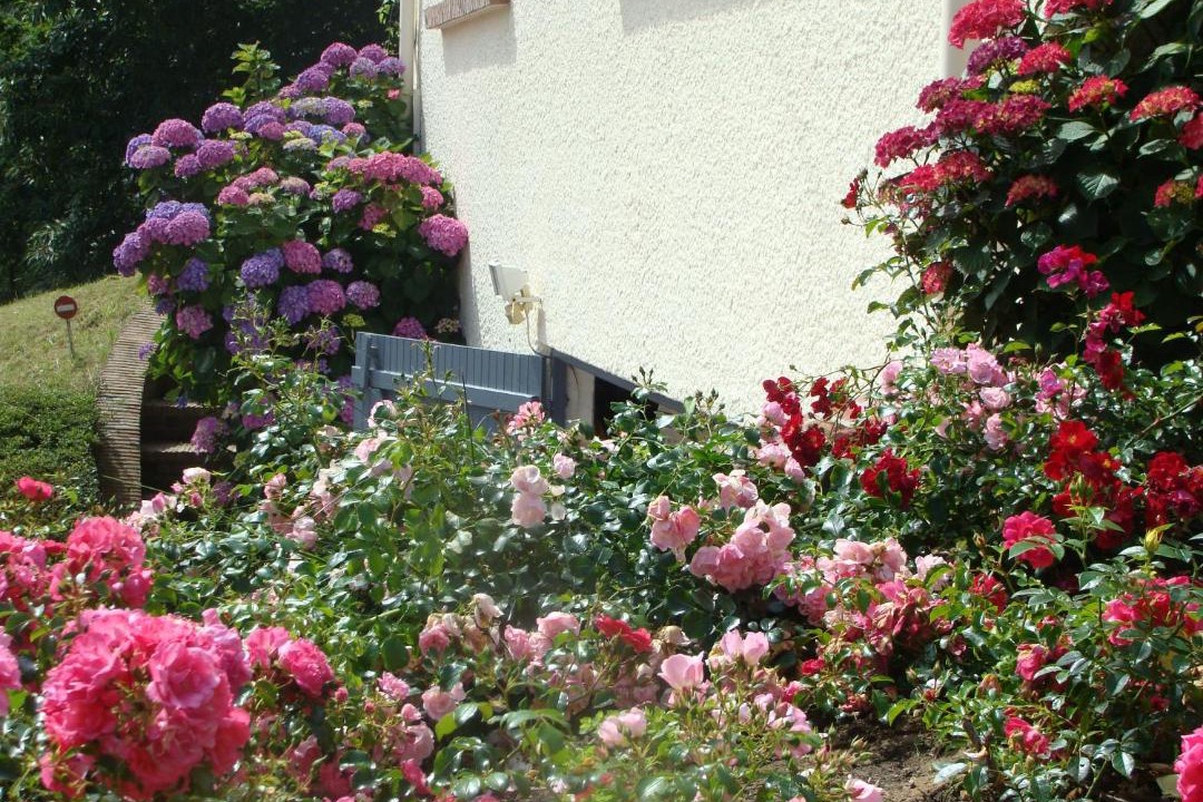 Photo of Others in Glicourt