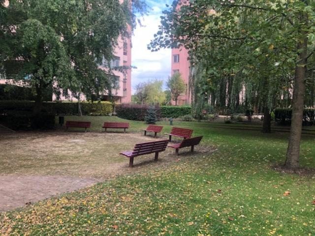 Photo of Others in Champs-sur-Marne