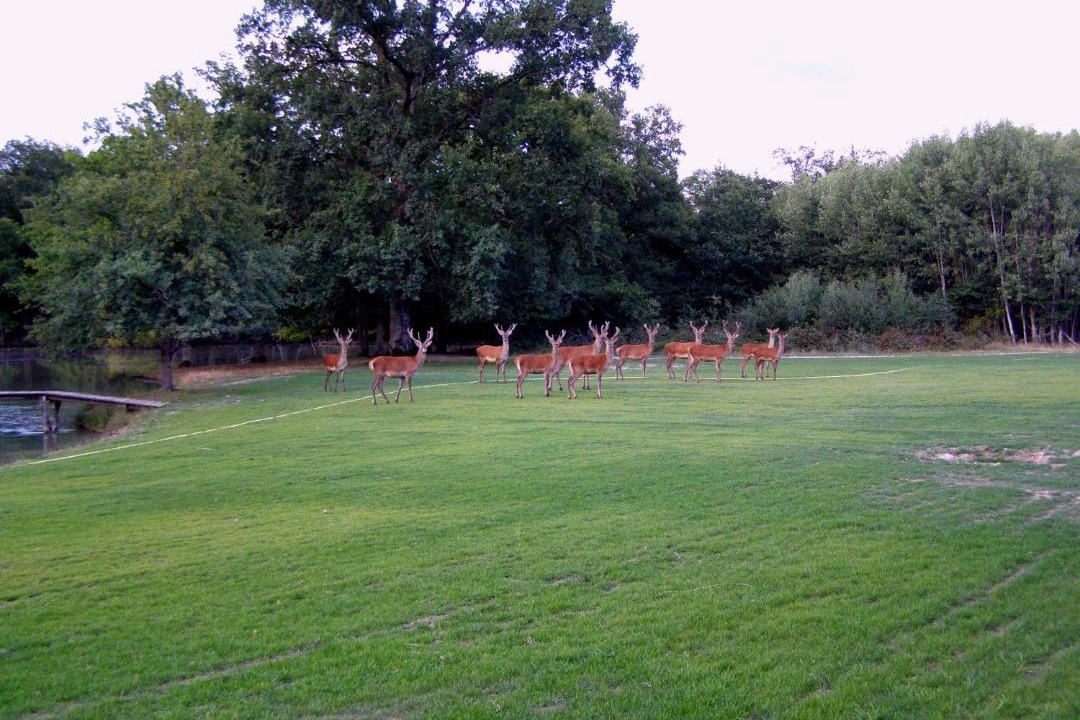 Photo of Others in Donnery