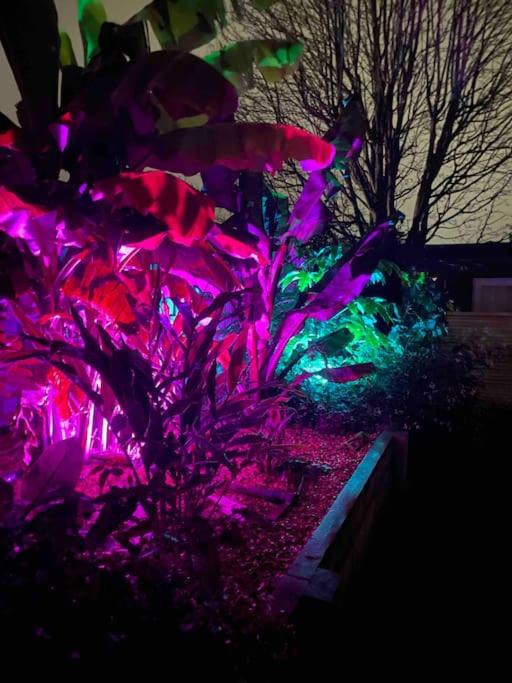 Photo of Others in Cribbs Causeway