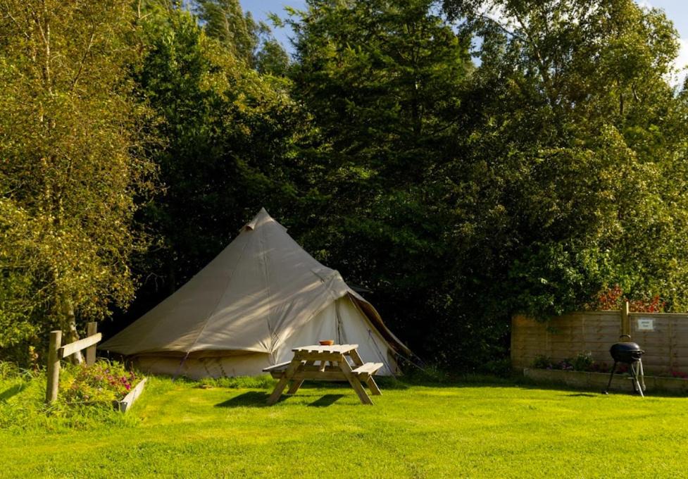 Photo of Others in Murthill