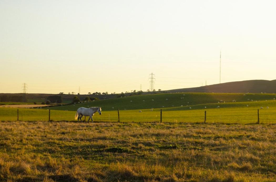 Photo of Others in Murthill