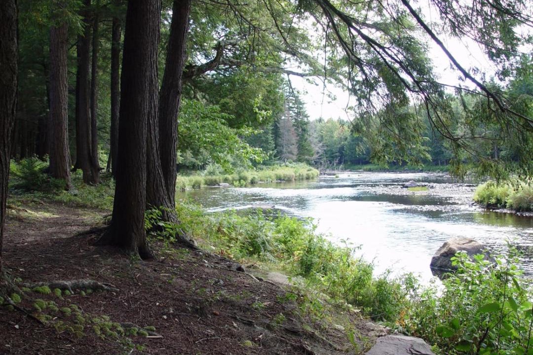 Photo of Others in Hopkinton