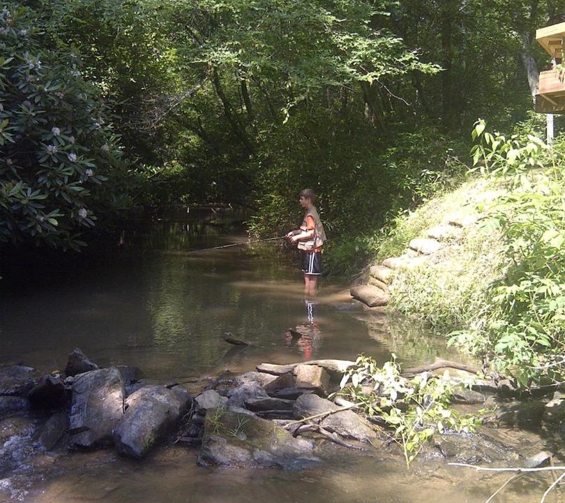 Photo of Others in Mineral Bluff
