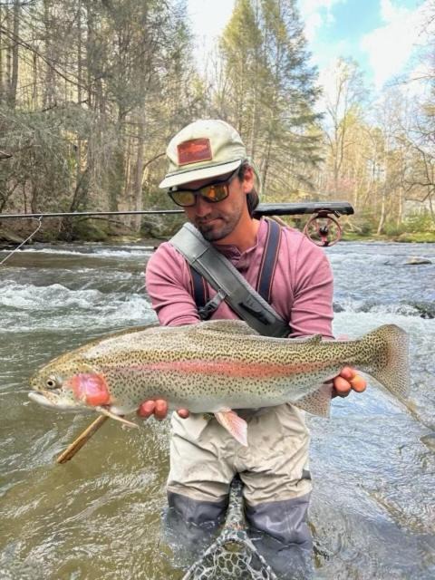 Photo of Others in Ellijay