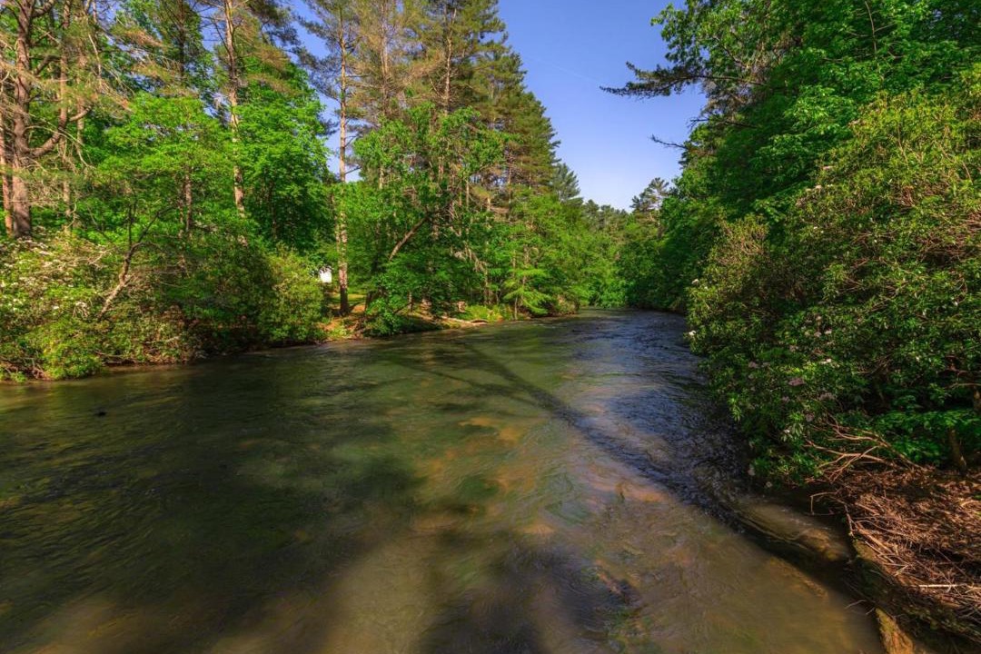 Photo of Others in Rivers Edge