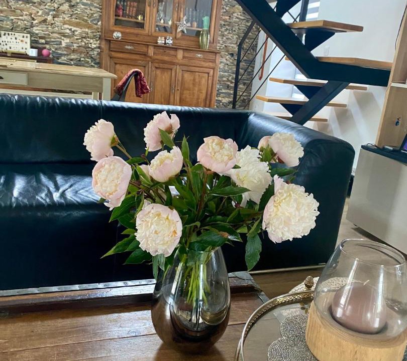 Photo of Livingroom in Murs-Erigne