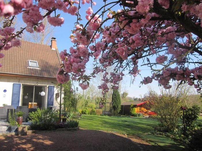 Photo of Others in Auchy-au-Bois