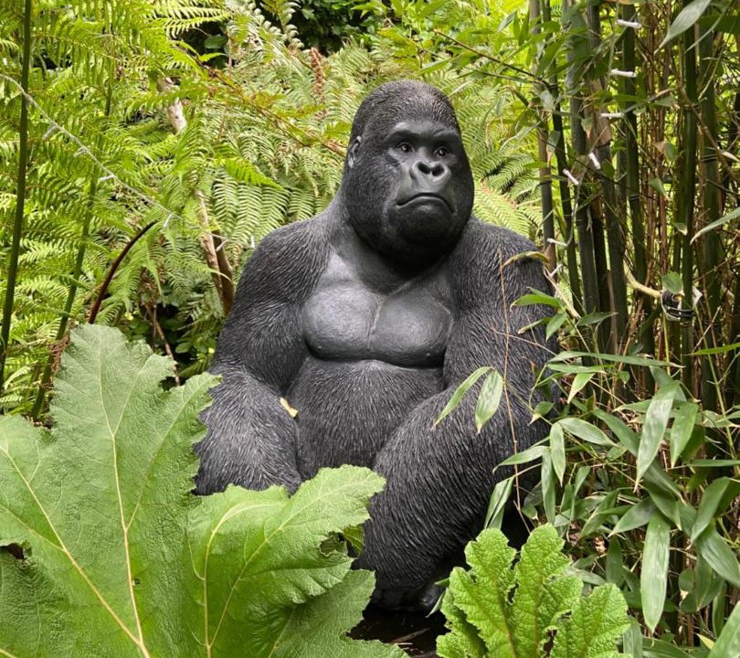 Photo of Others in Martin