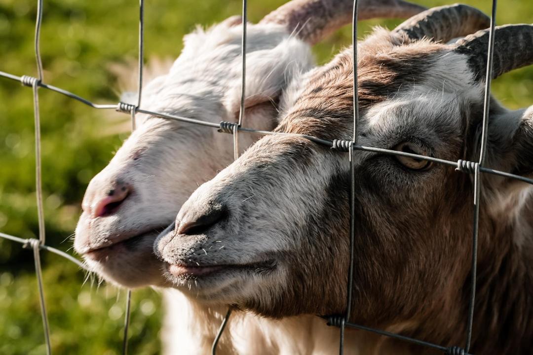 Photo of Others in Woodham Ferrers