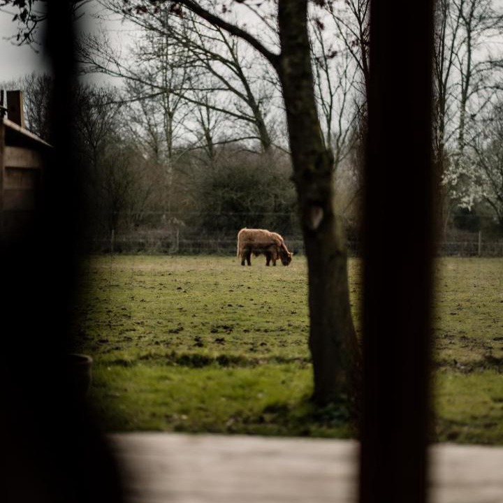 Photo of Others in Woodham Ferrers