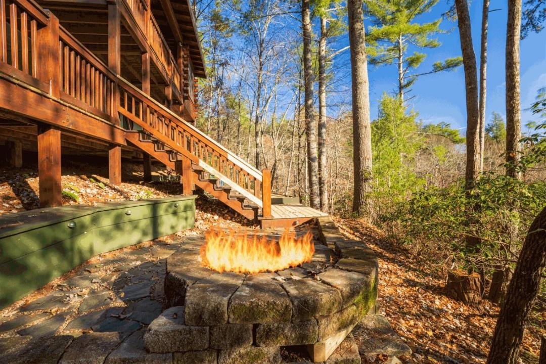 Photo of Others in Cherry Log