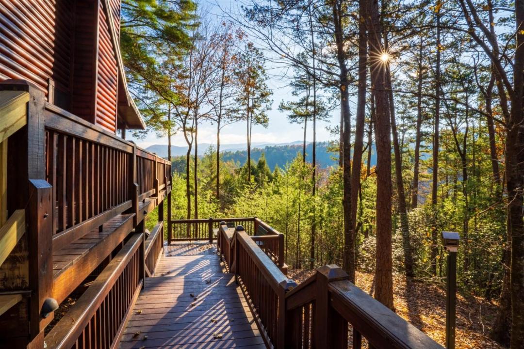 Photo of Others in Cherry Log