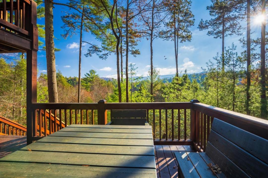 Photo of Others in Cherry Log