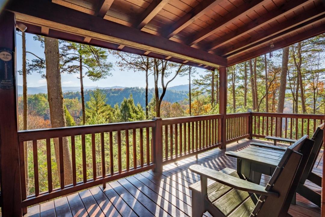 Photo of Others in Cherry Log