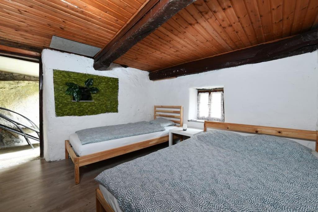 Photo of Others in Corippo
