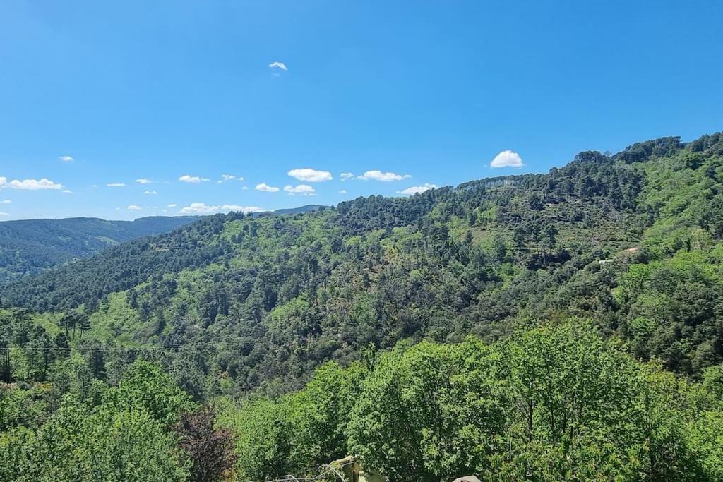 Photo of Others in Lamelouze