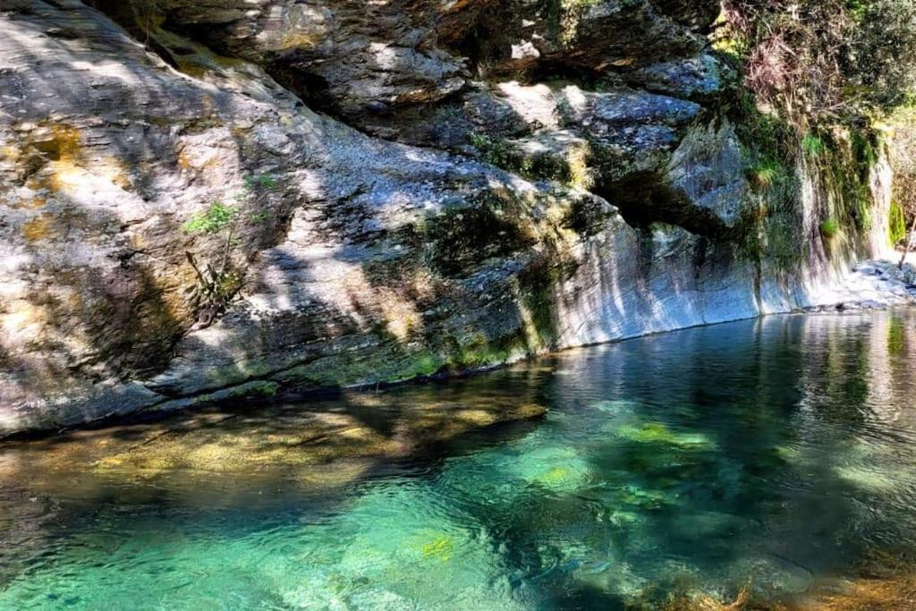 Photo of Others in Lamelouze