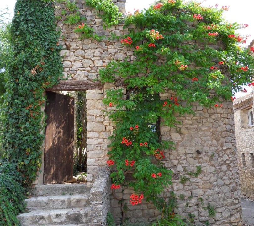 Photo of Others in Saint-Trinit