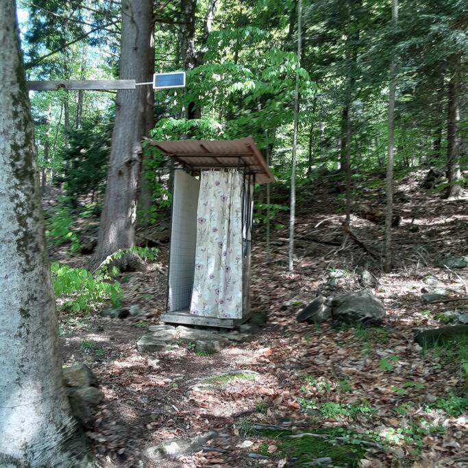 Photo of Others in Lake Luzerne
