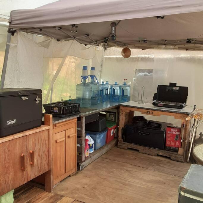 Photo of Others in Lake Luzerne