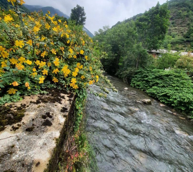Photo of Others in Bagneres-de-Luchon
