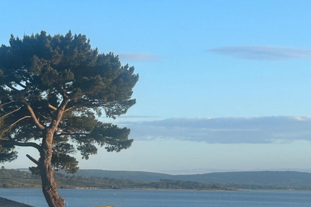 Photo of Others in Hamworthy