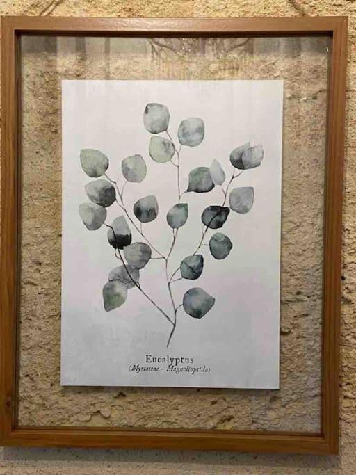 Photo of Others in Merignas