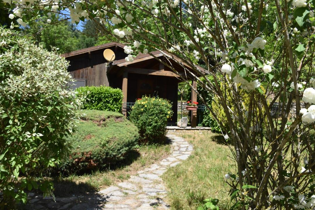 Photo of Others in Alzon