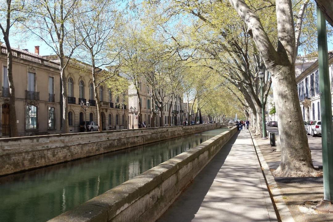 Photo of Others in Nimes City Centre
