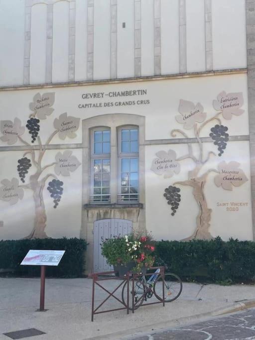 Photo of Others in Gevrey-Chambertin