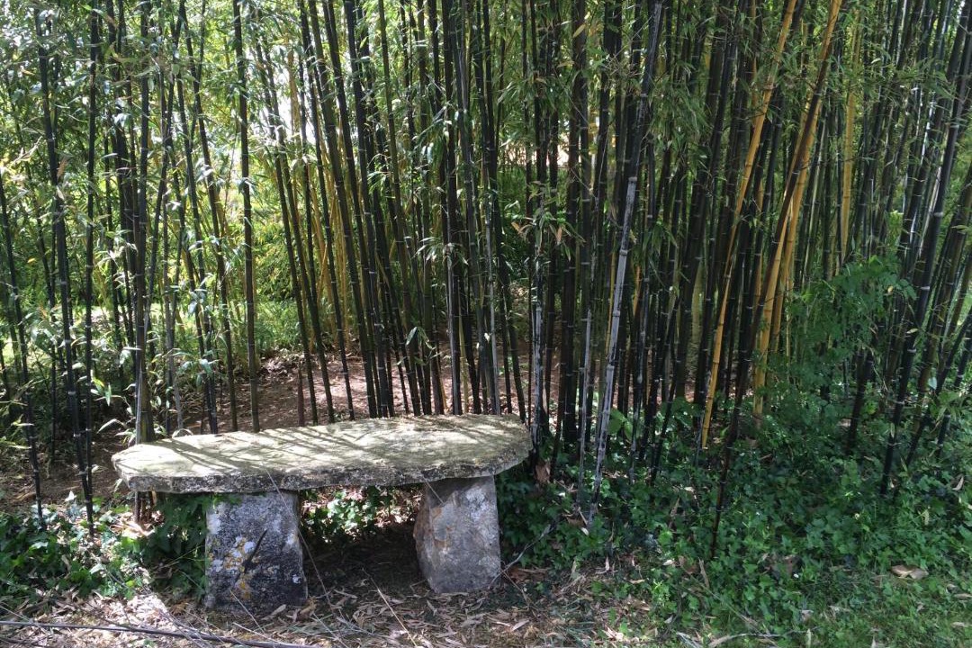 Photo of Others in Andressac