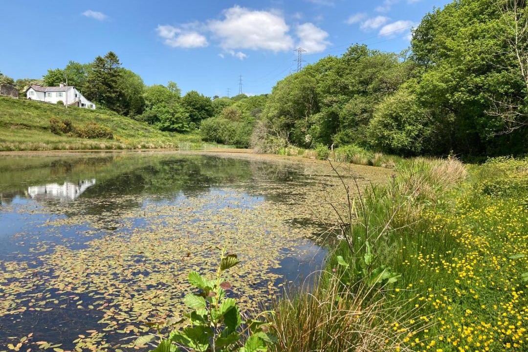 Photo of Others in Mawr