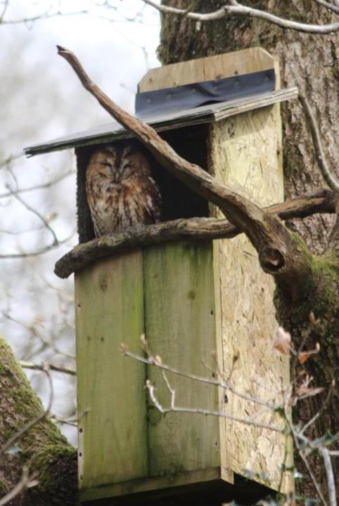 Photo of Others in Mawr