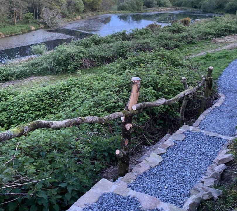 Photo of Others in Mawr