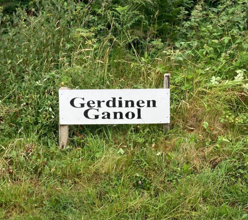 Photo of Others in Mawr