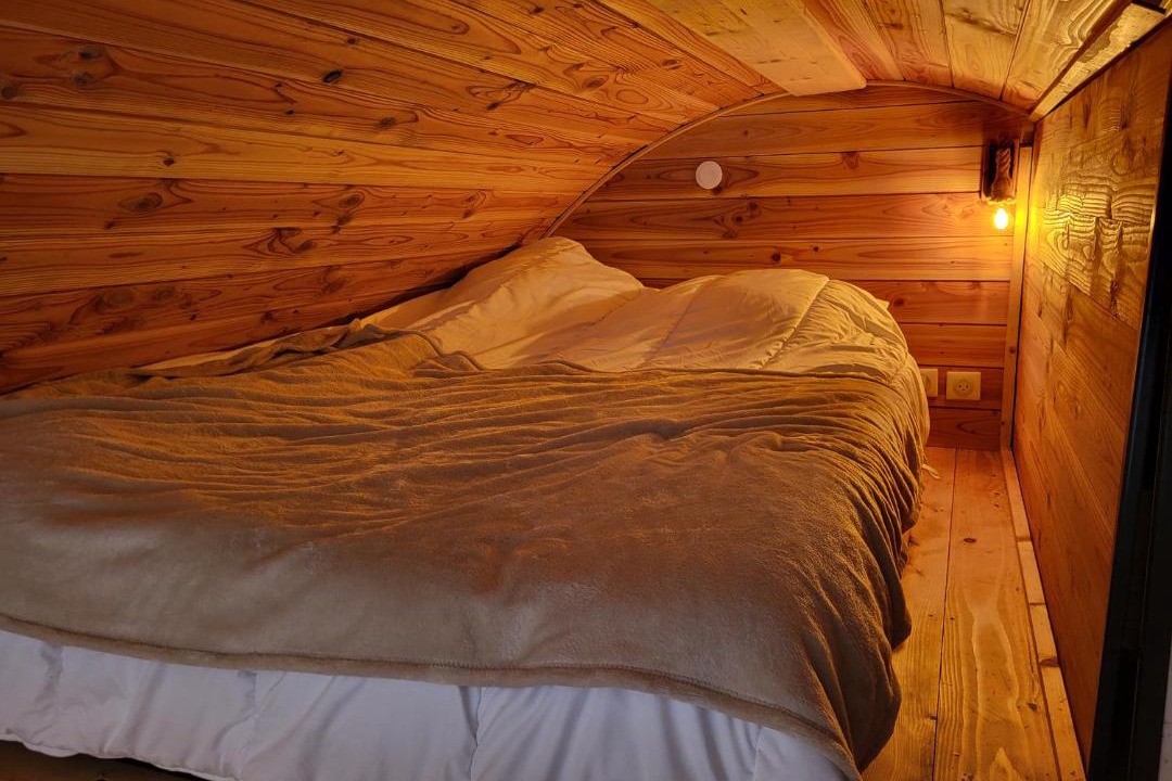 Photo of Others in Ales